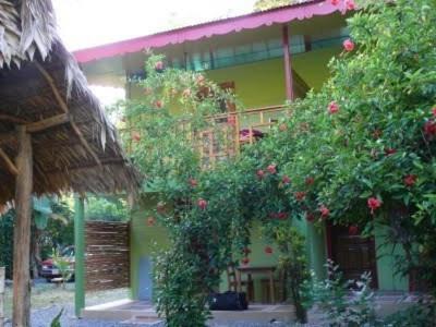 Blue Conga Otel Puerto Viejo de Talamanca Dış mekan fotoğraf