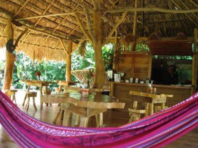 Blue Conga Otel Puerto Viejo de Talamanca Dış mekan fotoğraf