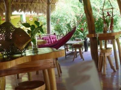 Blue Conga Otel Puerto Viejo de Talamanca Dış mekan fotoğraf
