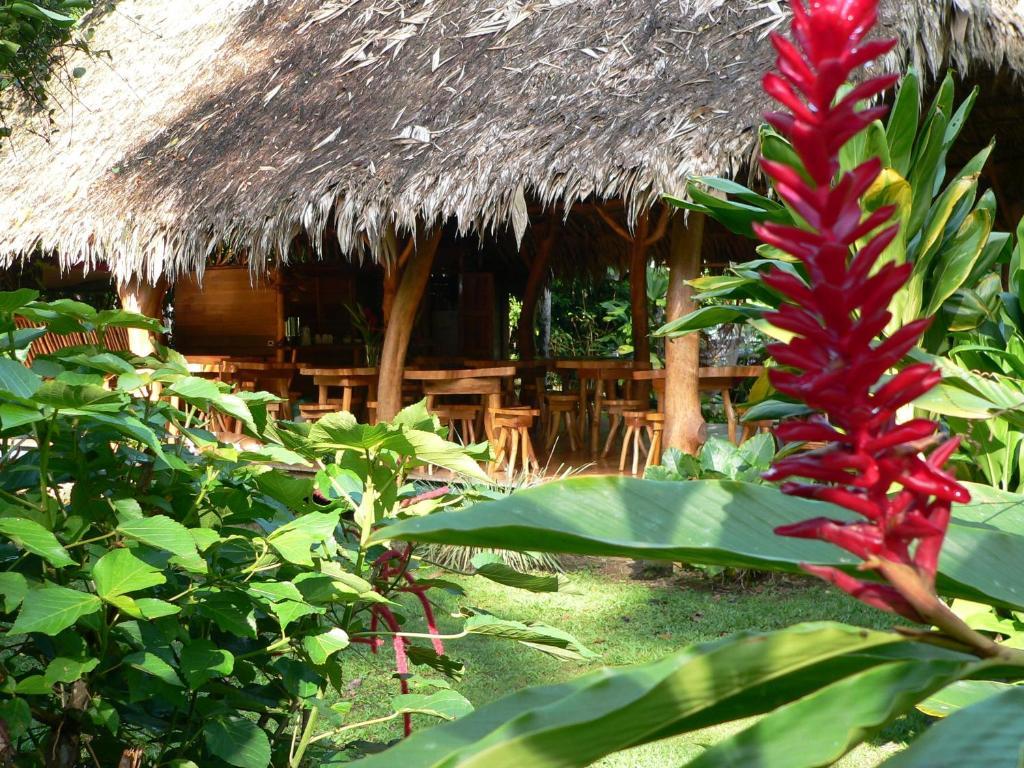 Blue Conga Otel Puerto Viejo de Talamanca Dış mekan fotoğraf