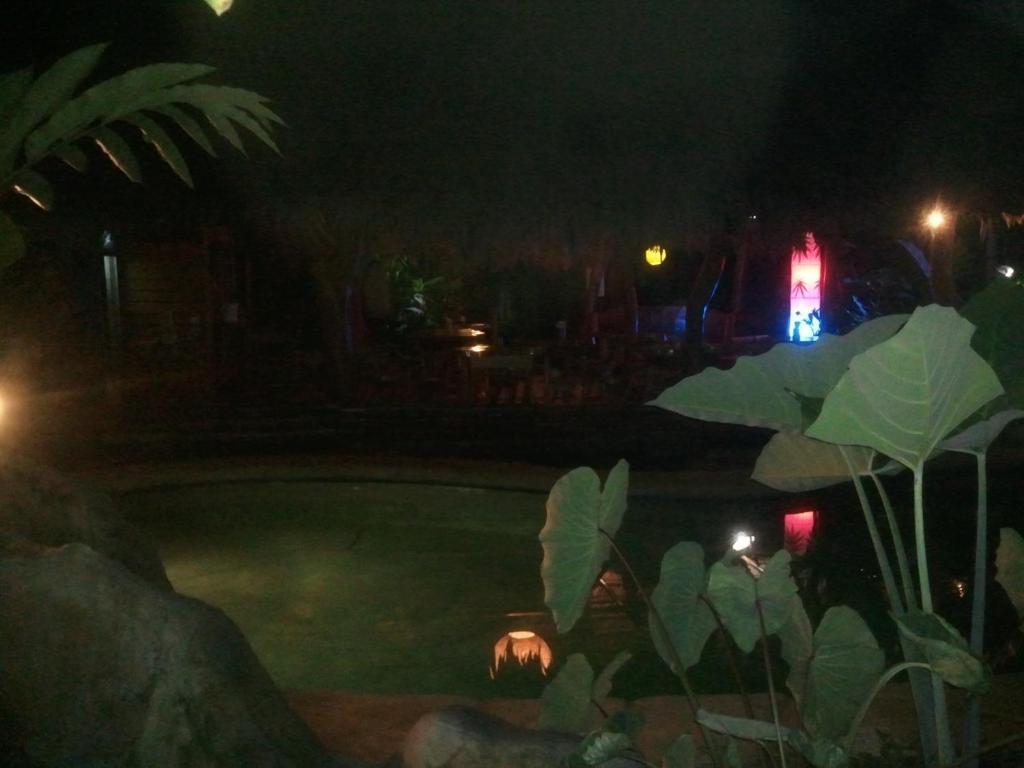 Blue Conga Otel Puerto Viejo de Talamanca Dış mekan fotoğraf